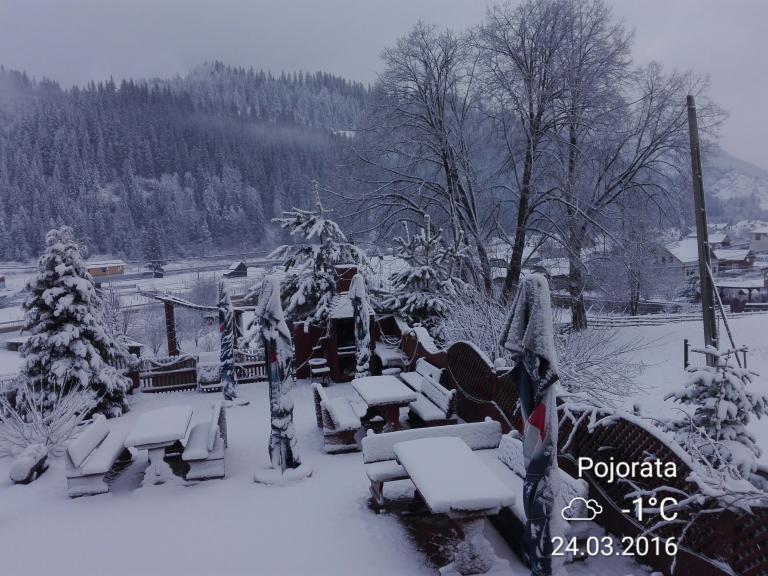 Pensiunea Flori De Bucovina Pojorata Romania Tonight Ro